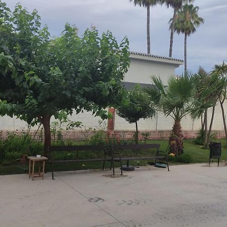 Apartamento Con Piscina Y Cerca De La Playa Apartment Benicassim Exterior photo